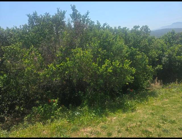 LAND FOR SALE IN GROOT BRAKRIVIER CENTRAL